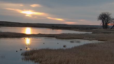 American Prairie Montana Bison Live Cam - Mar 28, 2026, 7:11am MDT