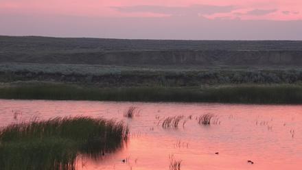 American Prairie Montana Bison Live Cam - Jul 23, 2025, 5:30am MDT