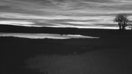 American Prairie Montana Bison Live Cam - Nov 13, 2025, 6:19am MST