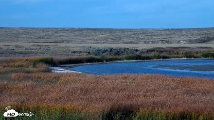 American Prairie Montana Bison Live Cam - Oct 8, 2026, 4:30pm MDT