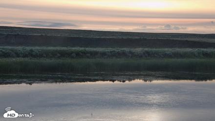 American Prairie Montana Bison Live Cam - Jun 26, 2026, 6:19am MDT
