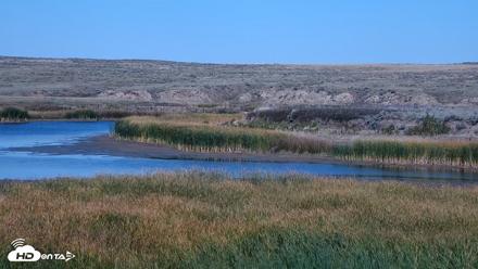 American Prairie Montana Bison Live Cam - Sep 24, 2026, 2:57pm MDT