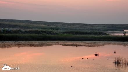 American Prairie Montana Bison Live Cam - Jul 20, 2026, 5:26am MDT