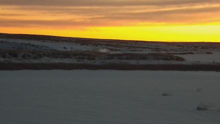 American Prairie Montana Bison Live Cam - Dec 15, 2025, 7:23am MST