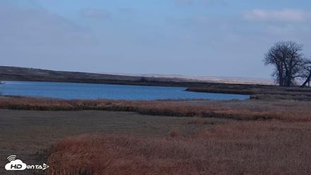 American Prairie Montana Bison Live Cam - Oct 28, 2026, 2:08pm MDT