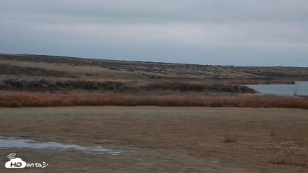 American Prairie Montana Bison Live Cam - Oct 29, 2026, 5:43pm MDT