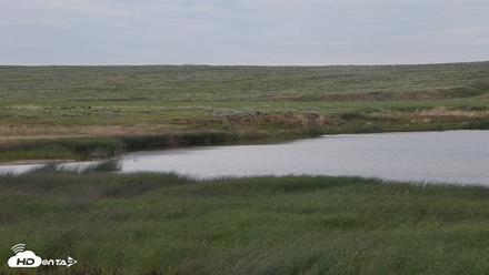 American Prairie Montana Bison Live Cam - Jun 11, 2026, 6:34am MDT