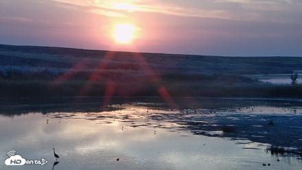 American Prairie Montana Bison Live Cam - Aug 22, 2026, 6:28am MDT