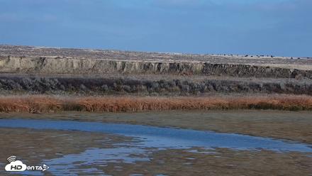 American Prairie Montana Bison Live Cam - Oct 28, 2026, 2:14pm MDT