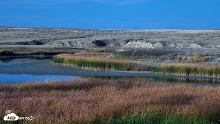 American Prairie Montana Bison Live Cam - Oct 6, 2026, 5:35pm MDT