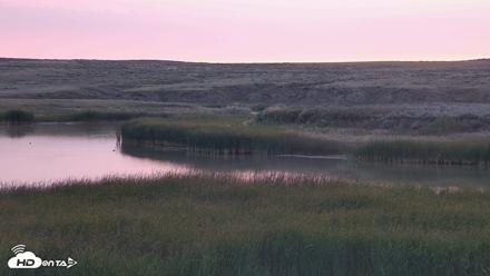 American Prairie Montana Bison Live Cam - Aug 20, 2026, 6:17am MDT