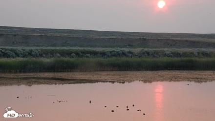 American Prairie Montana Bison Live Cam - Jul 29, 2026, 6:07am MDT