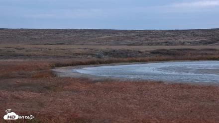 American Prairie Montana Bison Live Cam - Oct 23, 2026, 3:12pm MDT