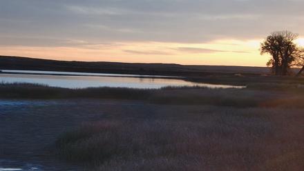 American Prairie Montana Bison Live Cam - Oct 25, 2025, 7:53am MDT
