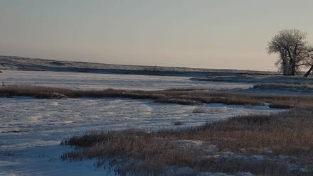 American Prairie Montana Bison Live Cam - Nov 30, 2025, 8:40am MST