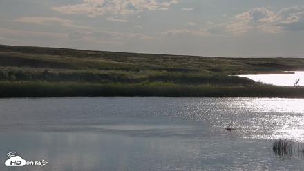 American Prairie Montana Bison Live Cam - Jul 5, 2026, 7:54am MDT