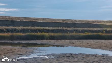 American Prairie Montana Bison Live Cam - Sep 30, 2026, 8:02am MDT