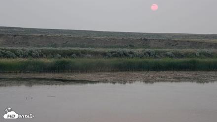 American Prairie Montana Bison Live Cam - Jul 28, 2026, 6:05am MDT