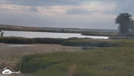American Prairie Montana Bison Live Cam - Sep 5, 2026, 8:37am MDT