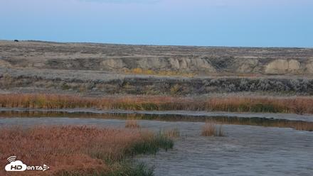 American Prairie Montana Bison Live Cam - Oct 18, 2026, 6:25pm MDT