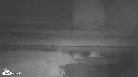 American Prairie Montana Bison Live Cam - Aug 27, 2026, 12:35am MDT