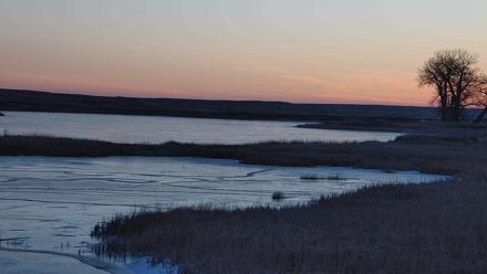 American Prairie Montana Bison Live Cam - Dec 31, 2025, 7:58am MST