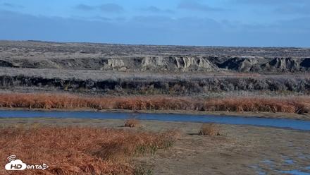 American Prairie Montana Bison Live Cam - Oct 28, 2026, 11:27am MDT