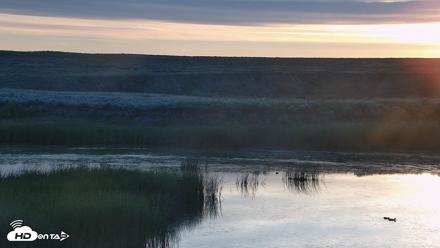 American Prairie Montana Bison Live Cam - Jun 25, 2026, 5:32am MDT