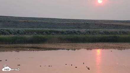 American Prairie Montana Bison Live Cam - Jul 29, 2026, 6:09am MDT
