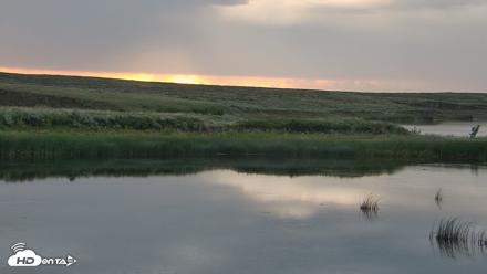 American Prairie Montana Bison Live Cam - Jun 22, 2026, 5:50am MDT