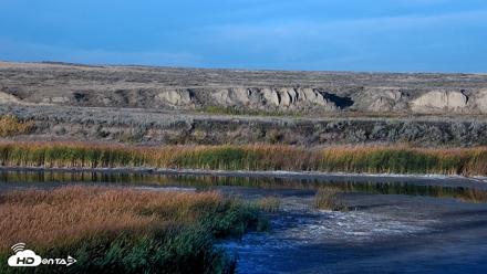 American Prairie Montana Bison Live Cam - Oct 5, 2026, 5:53pm MDT