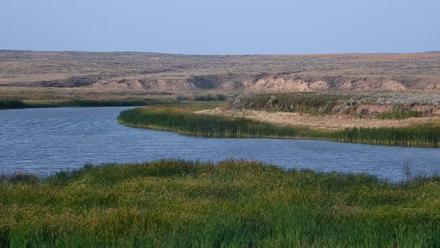 American Prairie Montana Bison Live Cam - Sep 2, 2025, 6:12pm MDT
