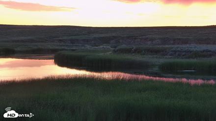 American Prairie Montana Bison Live Cam - Jul 5, 2026, 5:20am MDT