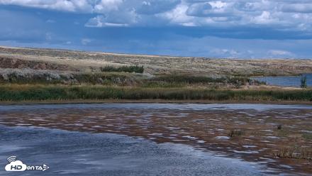 American Prairie Montana Bison Live Cam - Sep 11, 2026, 3:34pm MDT