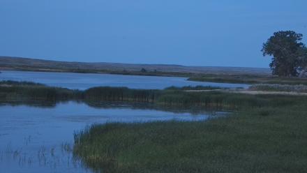 American Prairie Montana Bison Live Cam - Jul 20, 2025, 9:24pm MDT