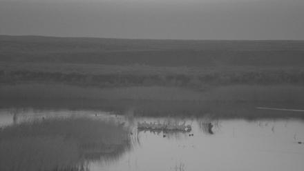 American Prairie Montana Bison Live Cam - Aug 10, 2025, 5:17am MDT