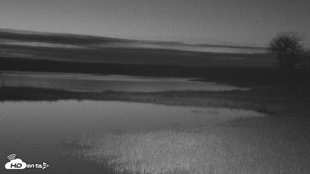 American Prairie Montana Bison Live Cam - Apr 18, 2026, 5:06am MDT