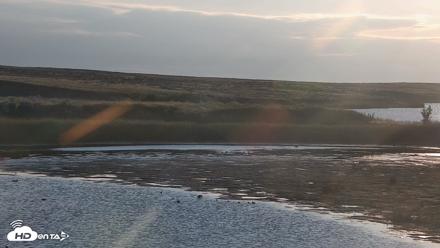 American Prairie Montana Bison Live Cam - Aug 31, 2026, 7:21am MDT