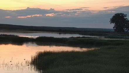 American Prairie Montana Bison Live Cam - Jul 14, 2025, 5:12am MDT
