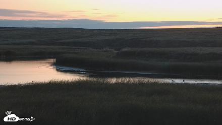 American Prairie Montana Bison Live Cam - Sep 9, 2026, 6:17am MDT