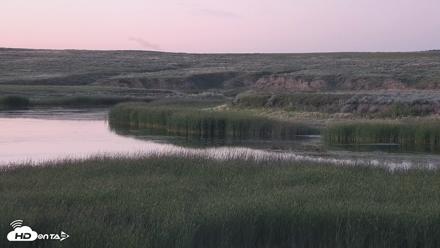 American Prairie Montana Bison Live Cam - Jul 10, 2026, 9:30pm MDT