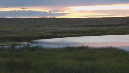 American Prairie Montana Bison Live Cam - Jul 28, 2025, 5:36am MDT