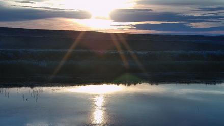 American Prairie Montana Bison Live Cam - Jul 14, 2025, 5:49am MDT