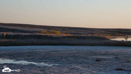 American Prairie Montana Bison Live Cam - Oct 19, 2026, 7:58am MDT