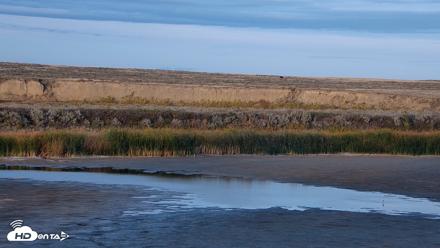 American Prairie Montana Bison Live Cam - Oct 1, 2026, 6:17pm MDT