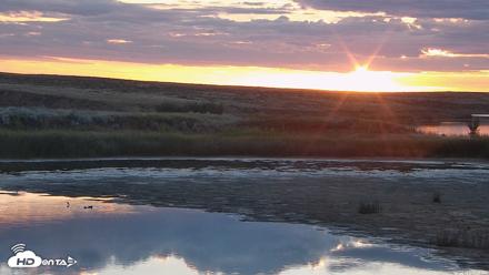 American Prairie Montana Bison Live Cam - Sep 2, 2026, 6:42am MDT
