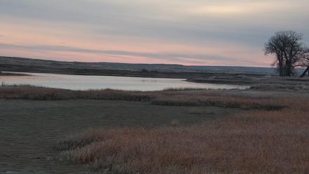 American Prairie Montana Bison Live Cam - Nov 5, 2025, 7:48am MST