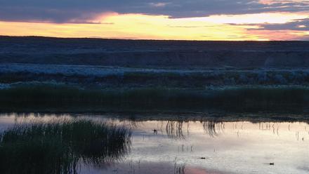 American Prairie Montana Bison Live Cam - Jul 14, 2025, 5:21am MDT