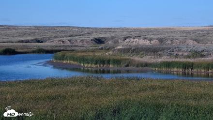 American Prairie Montana Bison Live Cam - Sep 16, 2026, 5:46pm MDT