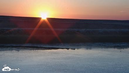 American Prairie Montana Bison Live Cam - Jul 17, 2026, 5:38am MDT